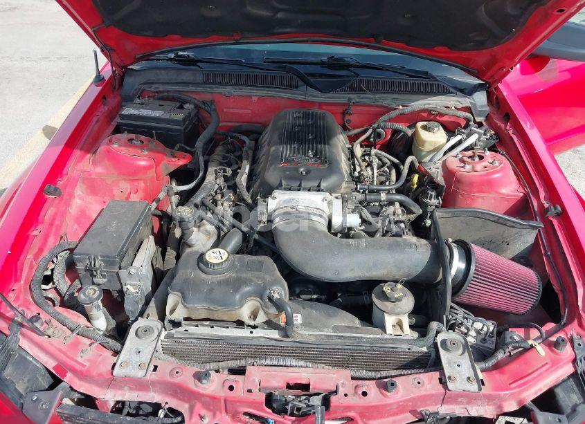 Photo 10 of 2006 Ford Mustang GT (VIN 1ZVFT82H465211066)