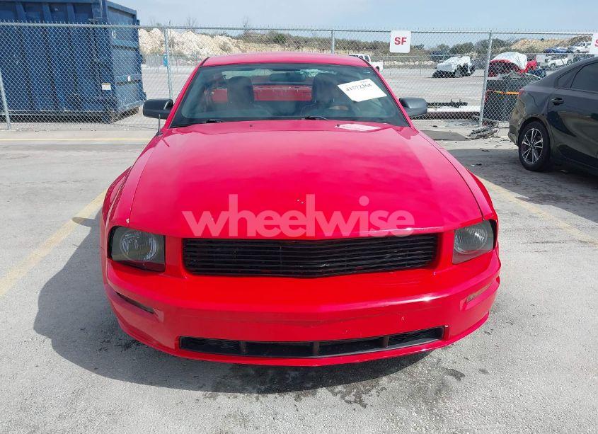 Photo 12 of 2006 Ford Mustang GT (VIN 1ZVFT82H465211066)