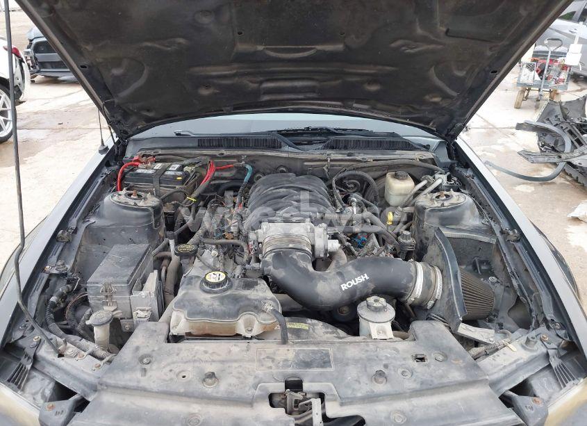 Photo 10 of 2007 Ford Mustang GT DELUXE/GT PREMIUM (VIN 1ZVFT82H475366296)