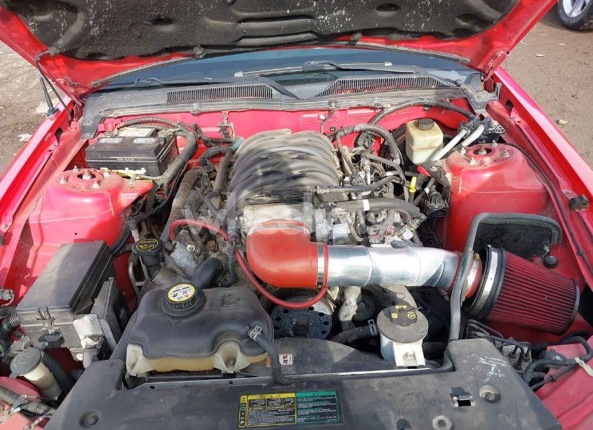 Photo 10 of 2005 Ford Mustang GT DELUXE/GT PREMIUM (VIN 1ZVFT82H555103019)