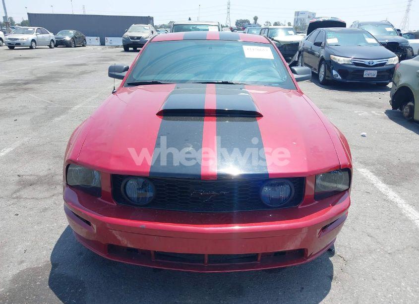 Photo 12 of 2006 Ford Mustang GT (VIN 1ZVFT82H565128505)