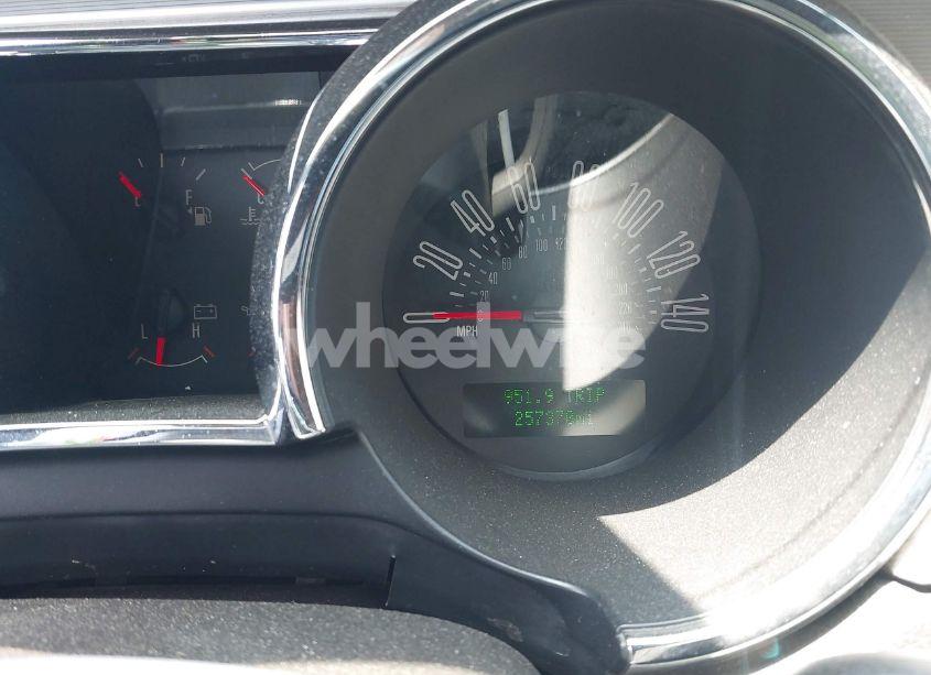 Photo 7 of 2006 Ford Mustang GT (VIN 1ZVFT82H565128505)