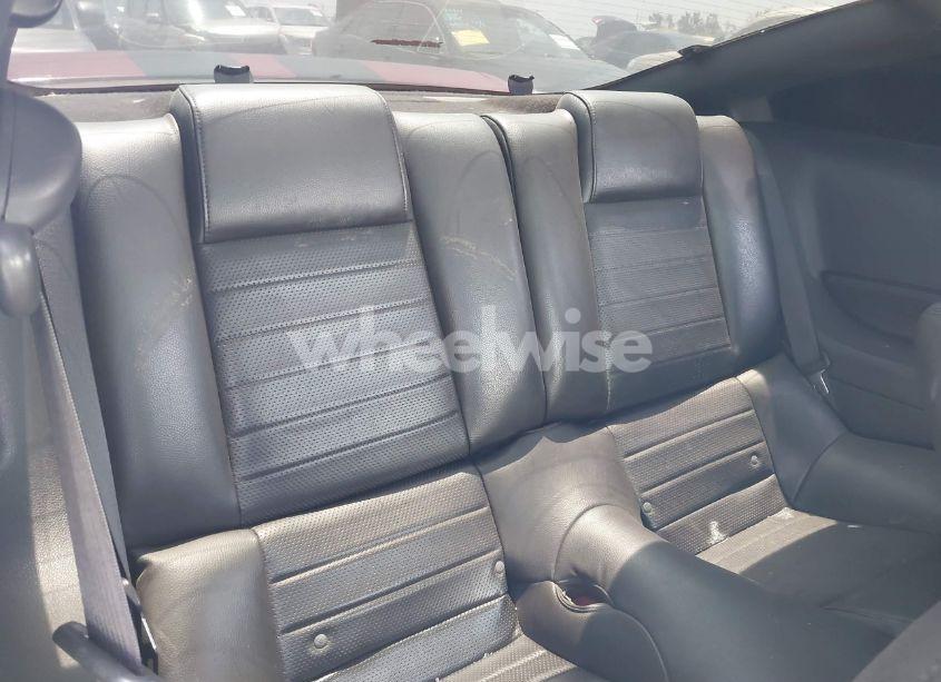 Photo 8 of 2006 Ford Mustang GT (VIN 1ZVFT82H565128505)