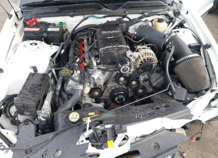 Photo 10 of 2006 Ford Mustang GT (VIN 1ZVFT82H565134143)