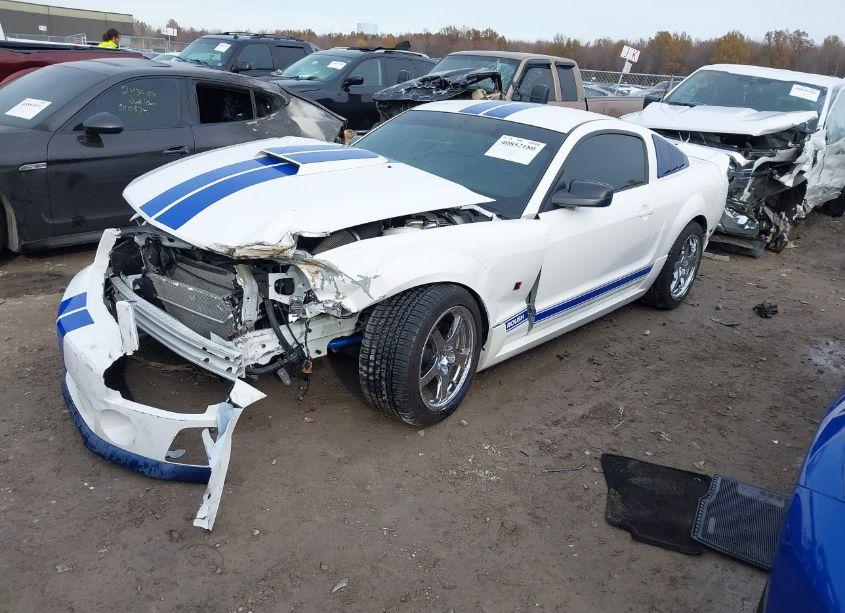 Photo 2 of 2006 Ford Mustang GT (VIN 1ZVFT82H565134143)