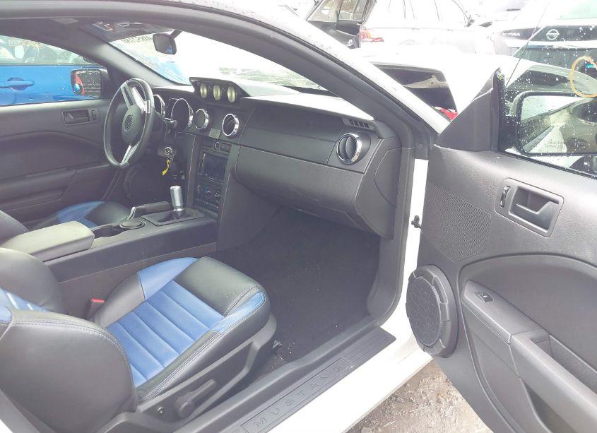 Photo 5 of 2006 Ford Mustang GT (VIN 1ZVFT82H565134143)