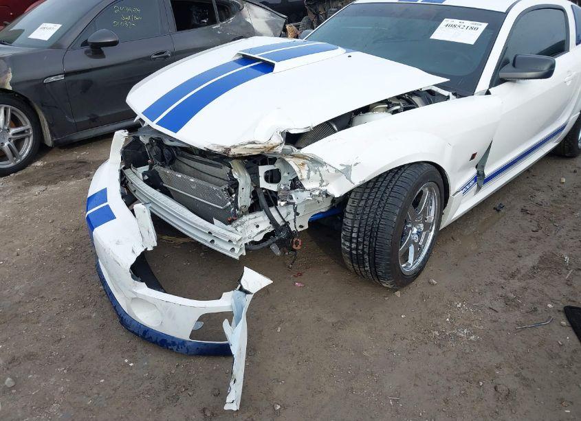 Photo 6 of 2006 Ford Mustang GT (VIN 1ZVFT82H565134143)