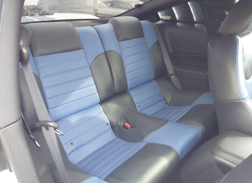 Photo 8 of 2006 Ford Mustang GT (VIN 1ZVFT82H565134143)