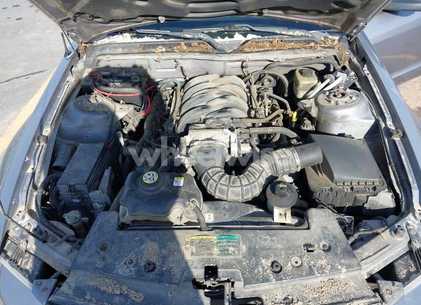 Photo 10 of 2006 Ford Mustang GT (VIN 1ZVFT82H565203428)