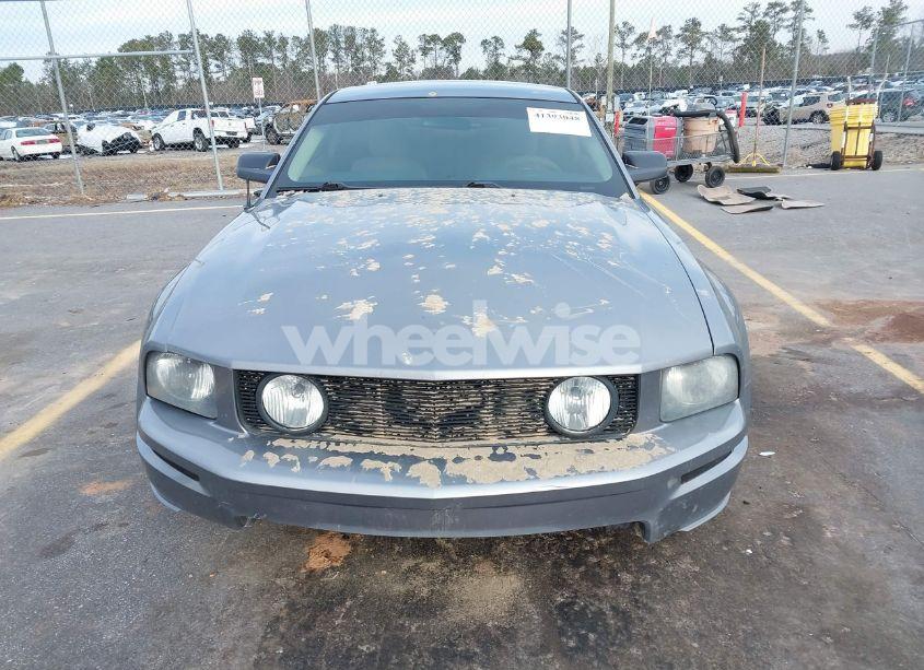 Photo 12 of 2006 Ford Mustang GT (VIN 1ZVFT82H565203428)