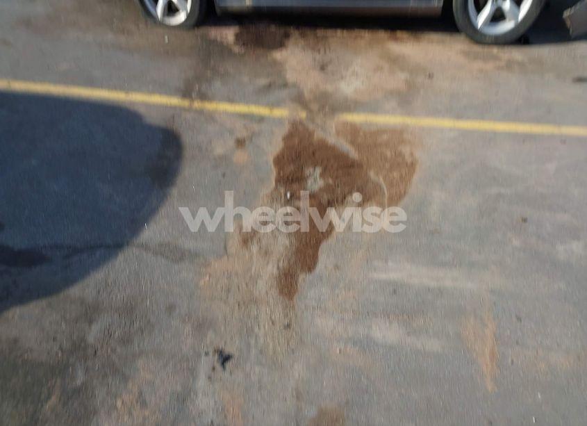 Photo 14 of 2006 Ford Mustang GT (VIN 1ZVFT82H565203428)