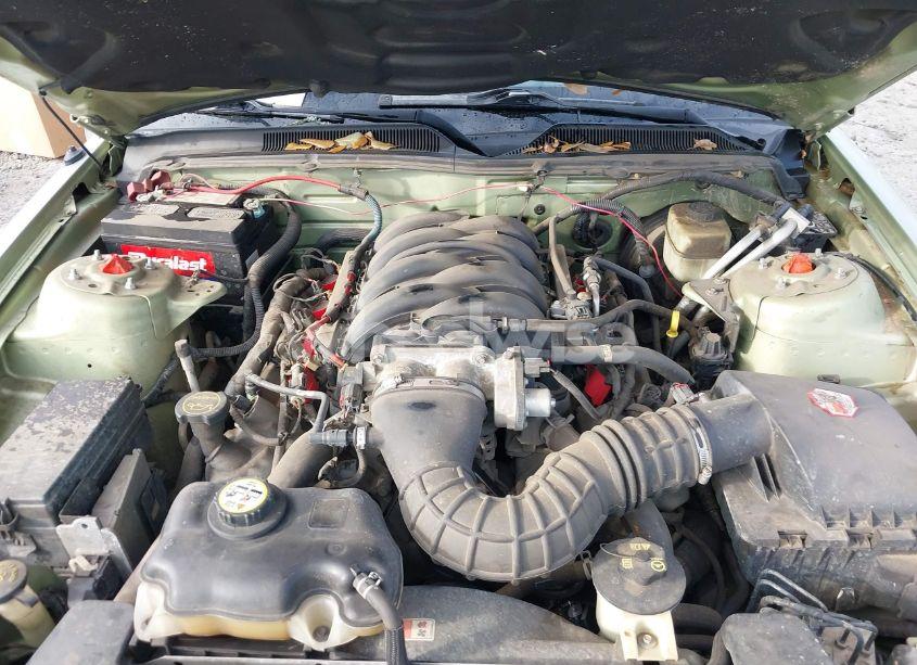 Photo 10 of 2006 Ford Mustang GT (VIN 1ZVFT82H665134054)