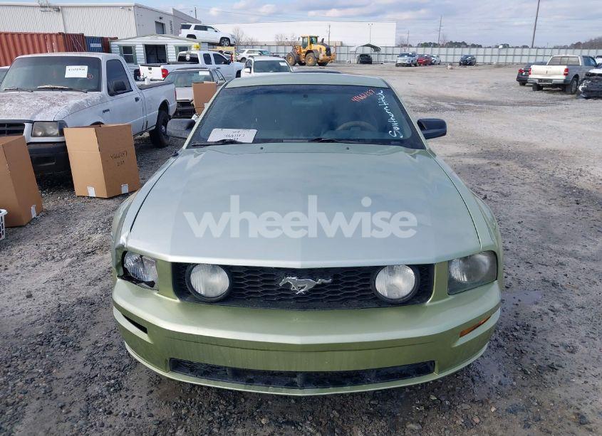 Photo 12 of 2006 Ford Mustang GT (VIN 1ZVFT82H665134054)