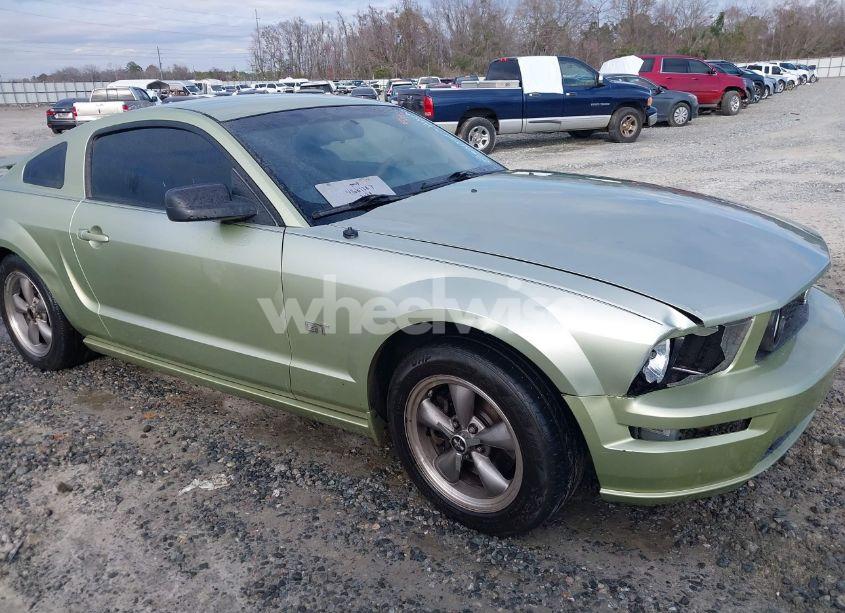 Photo 6 of 2006 Ford Mustang GT (VIN 1ZVFT82H665134054)