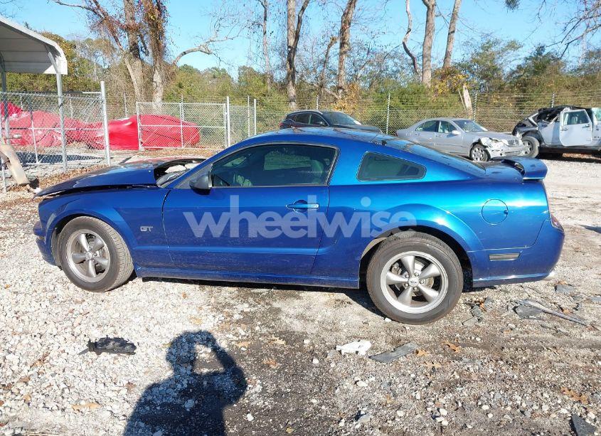 Photo 15 of 2006 Ford Mustang GT (VIN 1ZVFT82H665227995)