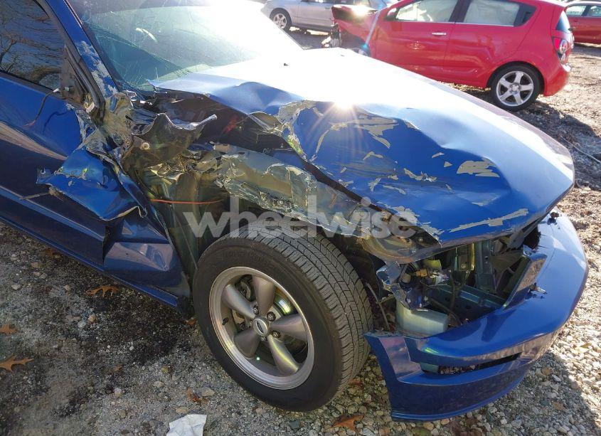 Photo 6 of 2006 Ford Mustang GT (VIN 1ZVFT82H665227995)