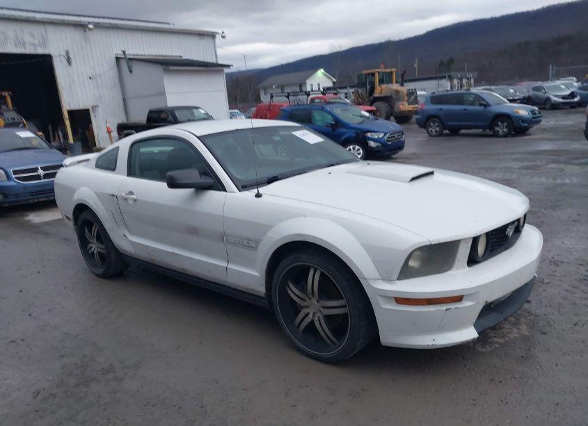2007 Ford Mustang GT DELUXE/GT PREMIUM (VIN 1ZVFT82H675224631) main photo