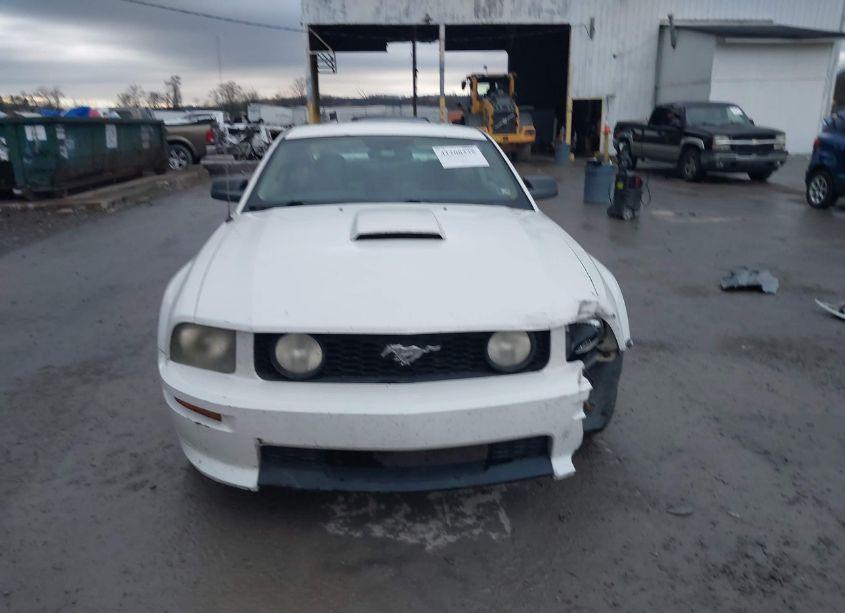 Photo 12 of 2007 Ford Mustang GT DELUXE/GT PREMIUM (VIN 1ZVFT82H675224631)