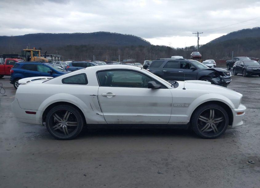 Photo 13 of 2007 Ford Mustang GT DELUXE/GT PREMIUM (VIN 1ZVFT82H675224631)