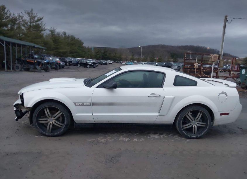 Photo 14 of 2007 Ford Mustang GT DELUXE/GT PREMIUM (VIN 1ZVFT82H675224631)