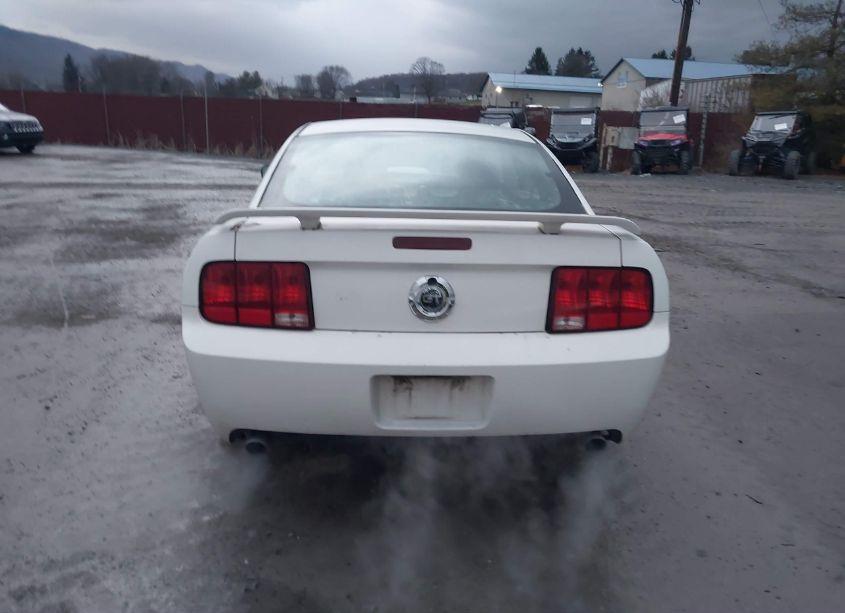 Photo 16 of 2007 Ford Mustang GT DELUXE/GT PREMIUM (VIN 1ZVFT82H675224631)