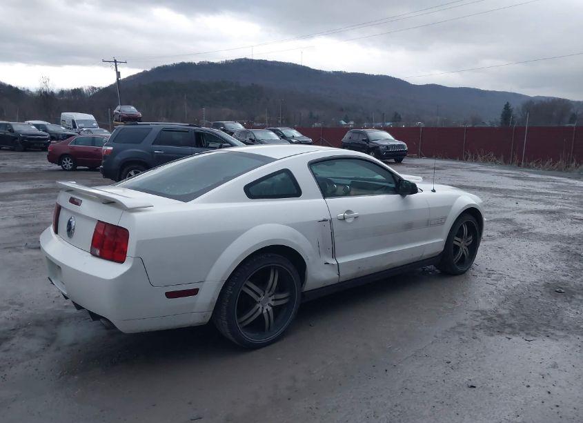 Photo 4 of 2007 Ford Mustang GT DELUXE/GT PREMIUM (VIN 1ZVFT82H675224631)