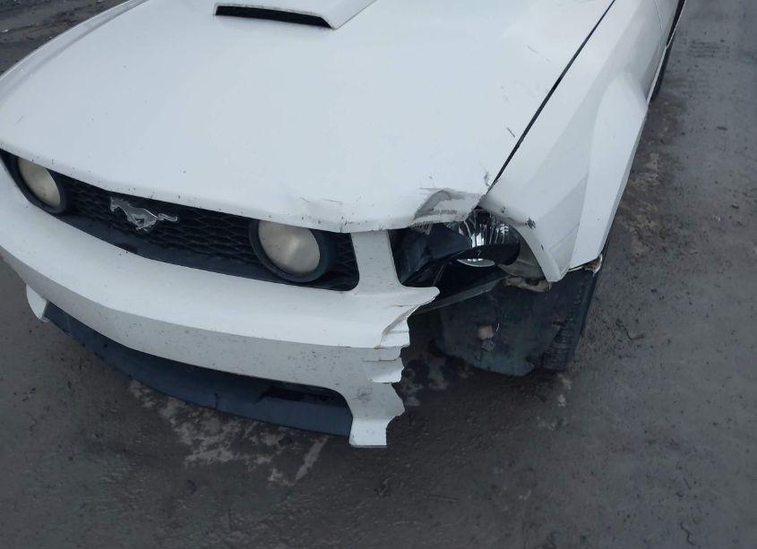Photo 6 of 2007 Ford Mustang GT DELUXE/GT PREMIUM (VIN 1ZVFT82H675224631)