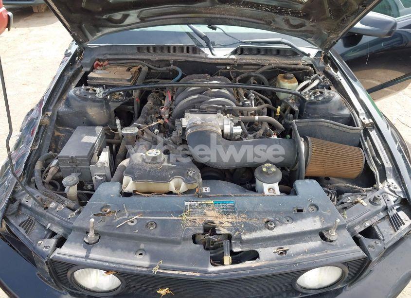 Photo 10 of 2005 Ford Mustang GT DELUXE/GT PREMIUM (VIN 1ZVFT82H755146485)