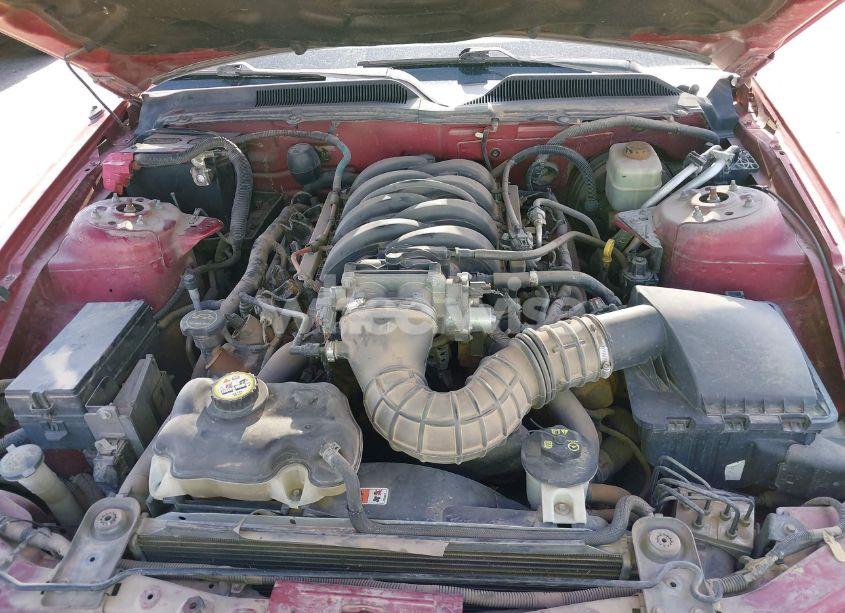 Photo 10 of 2005 Ford Mustang GT DELUXE/GT PREMIUM (VIN 1ZVFT82H755153940)