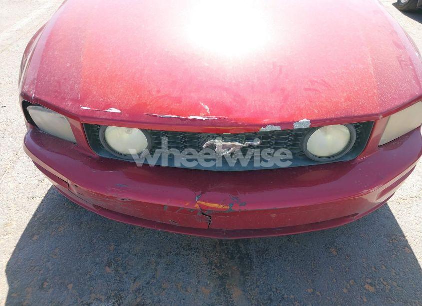 Photo 6 of 2005 Ford Mustang GT DELUXE/GT PREMIUM (VIN 1ZVFT82H755153940)