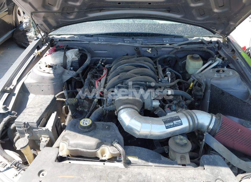 Photo 10 of 2006 Ford Mustang GT (VIN 1ZVFT82H765125783)