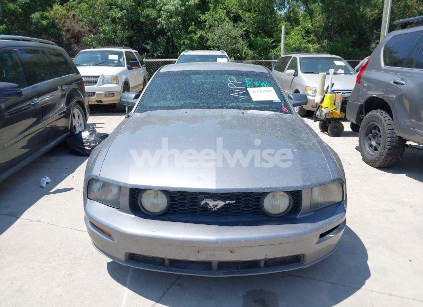 Photo 12 of 2006 Ford Mustang GT (VIN 1ZVFT82H765125783)