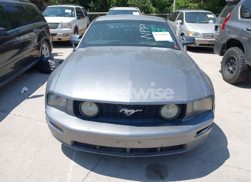 Photo 6 of 2006 Ford Mustang GT (VIN 1ZVFT82H765125783)