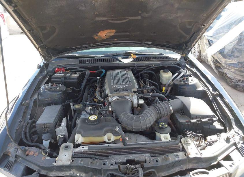 Photo 10 of 2007 Ford Mustang GT DELUXE/GT PREMIUM (VIN 1ZVFT82H775259081)