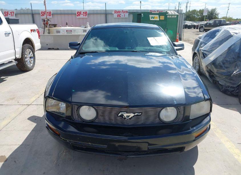 Photo 12 of 2007 Ford Mustang GT DELUXE/GT PREMIUM (VIN 1ZVFT82H775259081)