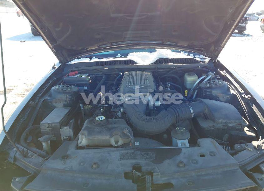 Photo 10 of 2007 Ford Mustang GT DELUXE/GT PREMIUM (VIN 1ZVFT82H775319621)