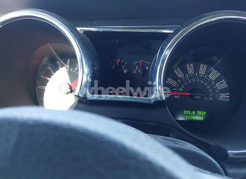 Photo 7 of 2007 Ford Mustang GT DELUXE/GT PREMIUM (VIN 1ZVFT82H775319621)