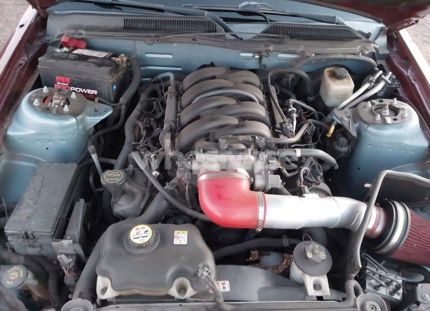 Photo 10 of 2005 Ford Mustang GT DELUXE/GT PREMIUM (VIN 1ZVFT82H855158631)