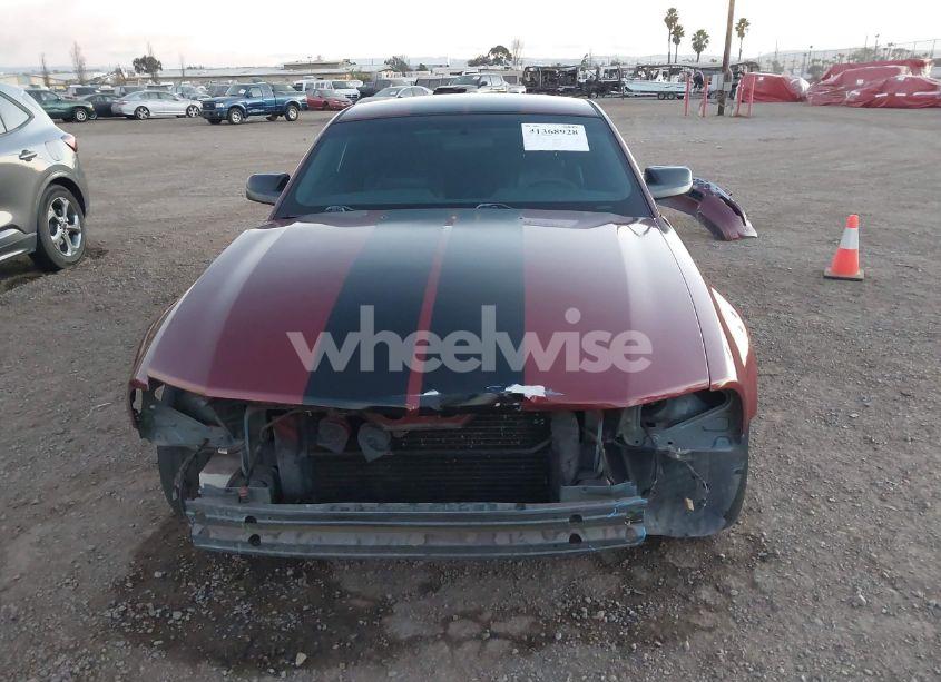 Photo 13 of 2005 Ford Mustang GT DELUXE/GT PREMIUM (VIN 1ZVFT82H855158631)