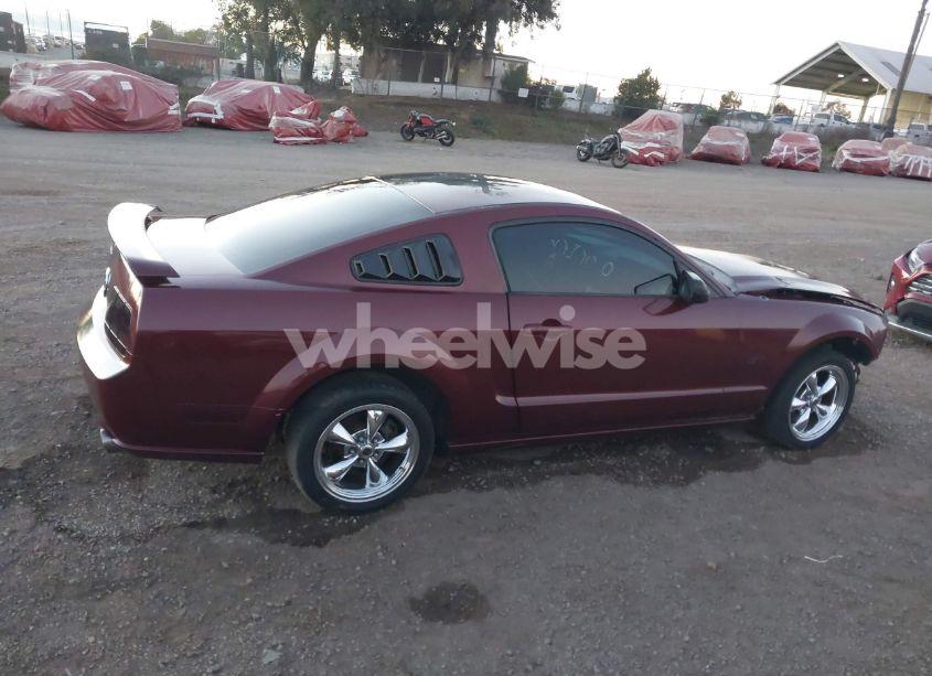 Photo 14 of 2005 Ford Mustang GT DELUXE/GT PREMIUM (VIN 1ZVFT82H855158631)