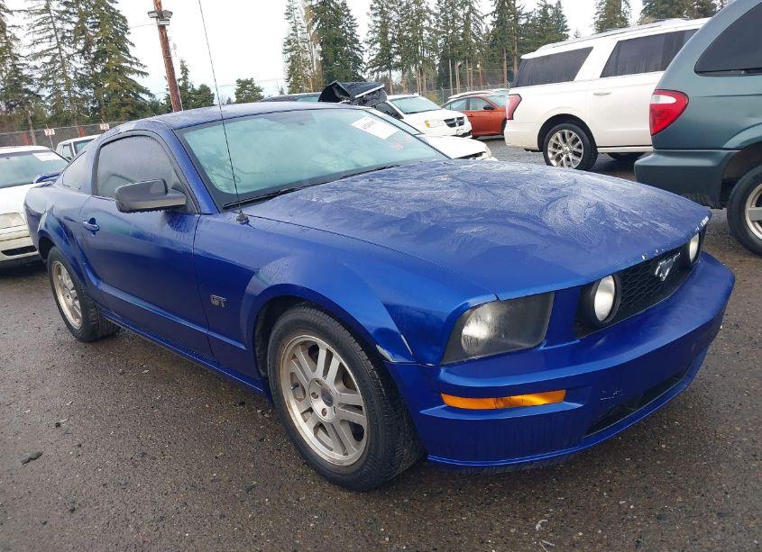 2005 Ford Mustang GT DELUXE/GT PREMIUM (VIN 1ZVFT82H855210002) main photo