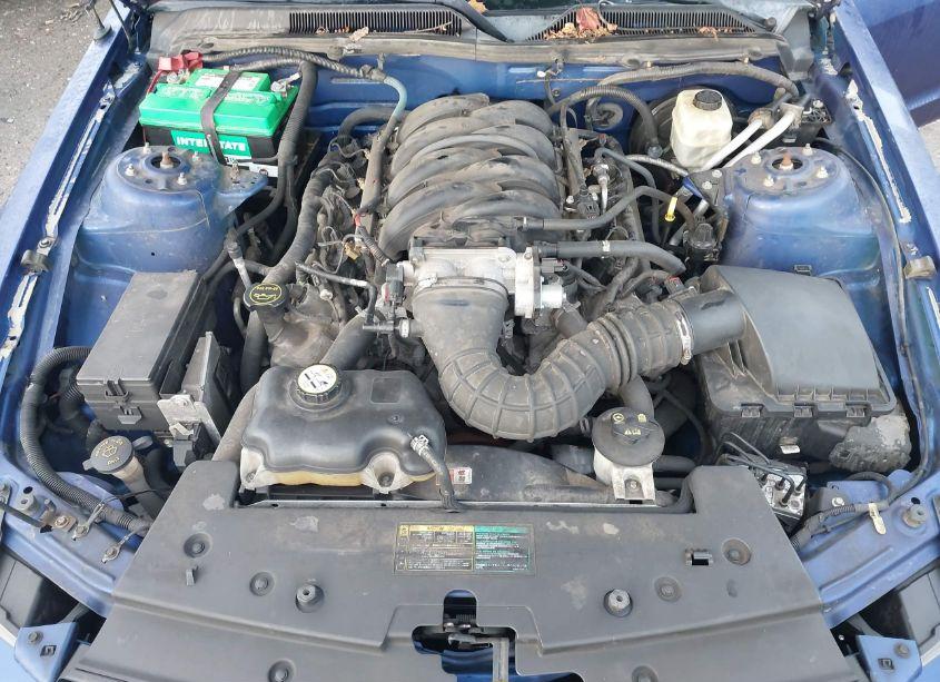 Photo 10 of 2005 Ford Mustang GT DELUXE/GT PREMIUM (VIN 1ZVFT82H855210002)