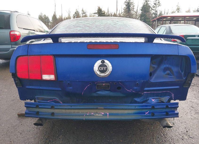 Photo 6 of 2005 Ford Mustang GT DELUXE/GT PREMIUM (VIN 1ZVFT82H855210002)