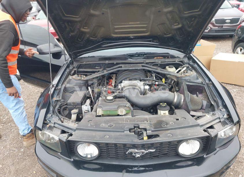 Photo 10 of 2005 Ford Mustang GT DELUXE/GT PREMIUM (VIN 1ZVFT82H855244683)