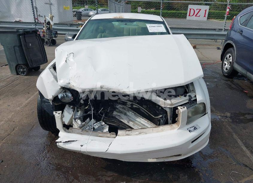 Photo 10 of 2006 Ford Mustang GT (VIN 1ZVFT82H865246421)