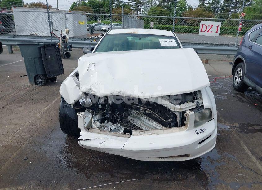 Photo 12 of 2006 Ford Mustang GT (VIN 1ZVFT82H865246421)