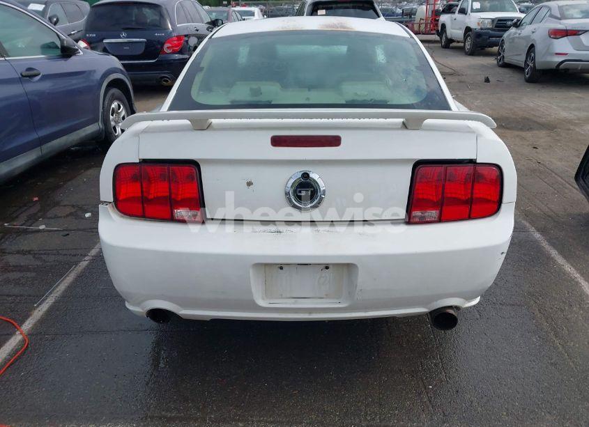 Photo 16 of 2006 Ford Mustang GT (VIN 1ZVFT82H865246421)