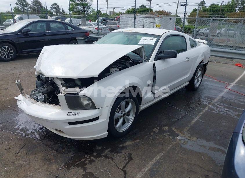 Photo 2 of 2006 Ford Mustang GT (VIN 1ZVFT82H865246421)