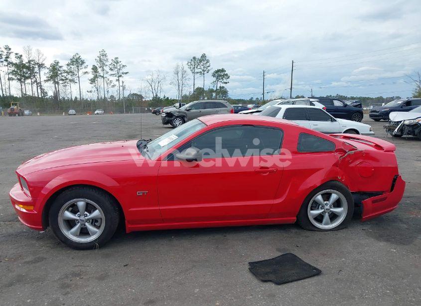 Photo 14 of 2007 Ford Mustang GT DELUXE/GT PREMIUM (VIN 1ZVFT82H875231337)