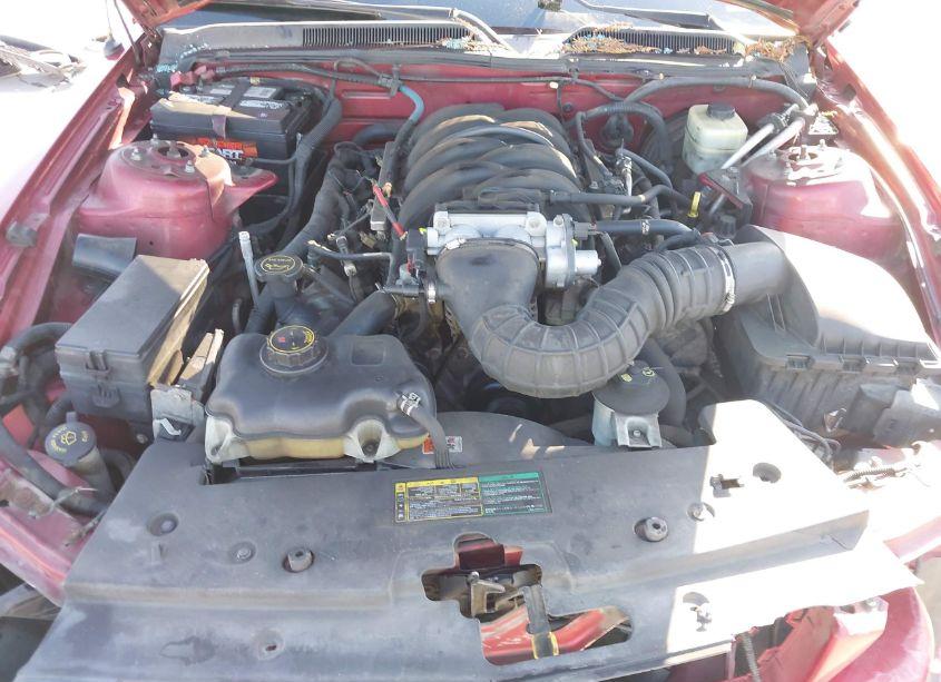 Photo 10 of 2005 Ford Mustang GT (VIN 1ZVFT82H955257393)